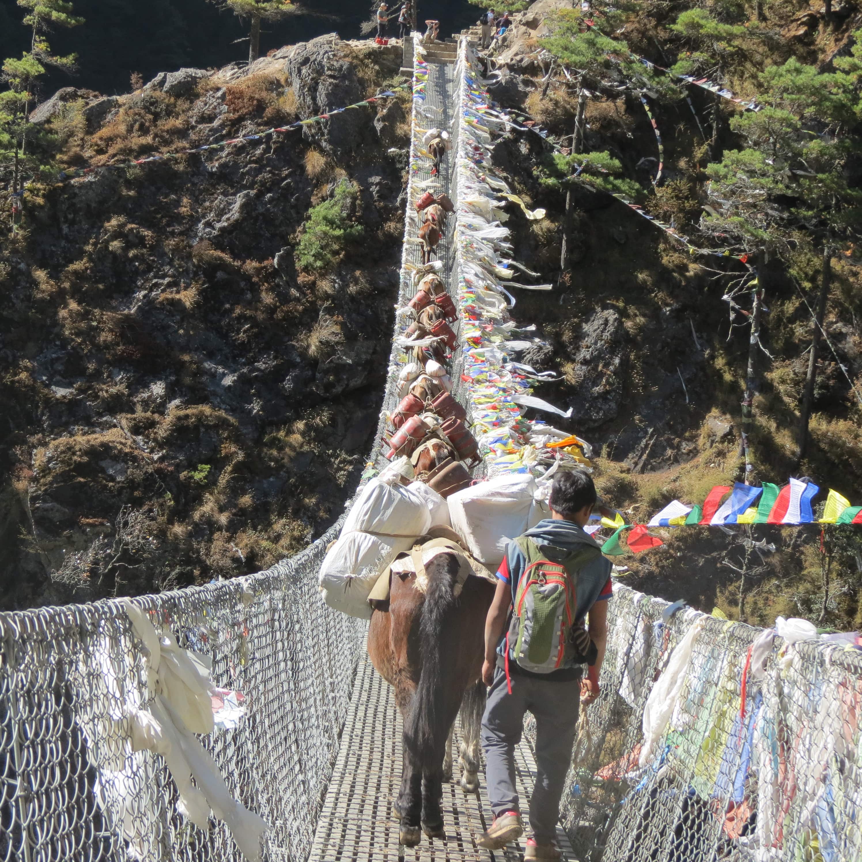 Everest and The Sherpa Land